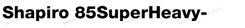 Shapiro 85SuperHeavy字体转换